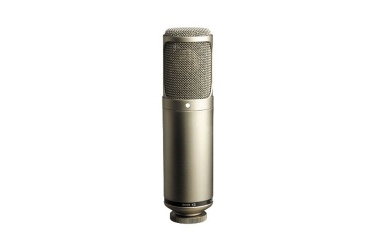 Condenser Microphones Condenser Microphones