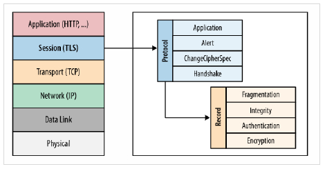 Transport Layer Security (TLS) Transport Layer Security (TLS)