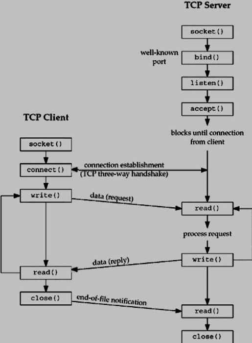 Network Socket Client Server Interaction Network Socket Client Server Interaction