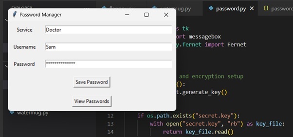 Password Manager Password Manager