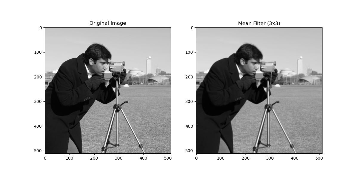Mean Filter Example